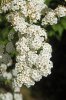 DSC04775 neu.jpg