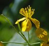 DSC04780 neu.jpg