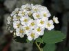 DSC04790 neu.jpg