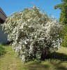 DSC04773 neu.jpg
