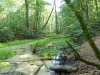 Furlbachtal 083.JPG