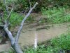 Furlbachtal 106.JPG