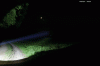 18mm.Gif