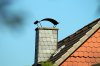 DSC04990 neu.jpg