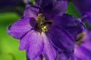 DSC00018 neu.jpg