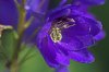 DSC00011 neu.jpg
