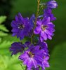 DSC00022neu.jpg