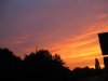 IMG_3795.JPG