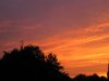 IMG_3798.JPG