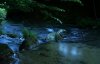 IMG_2205-1.JPG