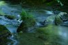 IMG_2215-1.JPG