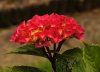 DSC00034 neu.jpg