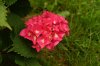 DSC00029 neu.jpg