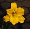 DSC00040 neu.jpg