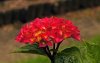 DSC00033 neu.jpg