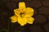 DSC00041 neu.jpg