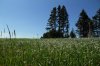 IMG_2364.JPG