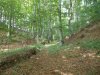 DSCN0575.JPG