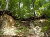 DSCN0577.JPG
