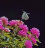 DSC00025   hhh.jpg