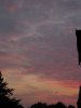 IMG_3849.JPG