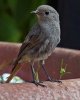 DSC05297 neu.jpg