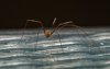 DSC05275_DxO neues.jpg