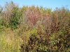 04_IMG_20180724_112906.jpg