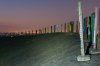 DSC_7574.jpg