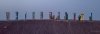 DJI_0223.jpg