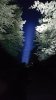 20180806_220235-1134x2016.jpg
