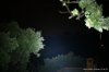 574D50EC-7C72-4C8C-800E-FCA062A60AFC.jpeg
