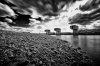 _TPC0434-sfex-sfex.jpg