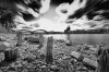 _TPC0418-sfex-sfex.jpg