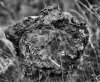 _TPC0456-Bearbeitet.jpg