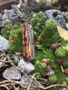 IMG-20180821-WA0001.jpg IMG-20180821-WA0001.jpg