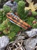IMG-20180821-WA0002.jpg IMG-20180821-WA0002.jpg