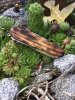 IMG-20180821-WA0003.jpg IMG-20180821-WA0003.jpg