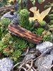 IMG-20180821-WA0004.jpg IMG-20180821-WA0004.jpg