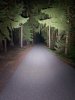 20180830_232052.jpg