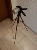 20180831_141752.jpg