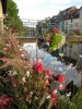 IMG_3981.JPG
