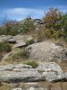 IMG_4181.JPG