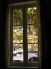 IMG_4220 (768x1024).jpg