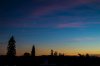 IMG_0104.jpg