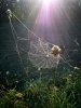03_IMG_20181010_092920.jpg
