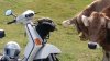 20180807_100406_Burst01.JPG