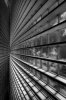 _TPC9814_5_6_7_8-sfex-sfex.jpg