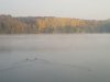 IMG_20181020_090846.jpg