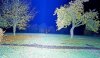 20181119_073844.jpg